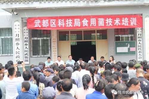 科技賦能農(nóng)業(yè)，武都區(qū)科技局在月照鄉(xiāng)舉辦食用菌栽培技術(shù)培訓(xùn)會(huì)助力鄉(xiāng)村振興